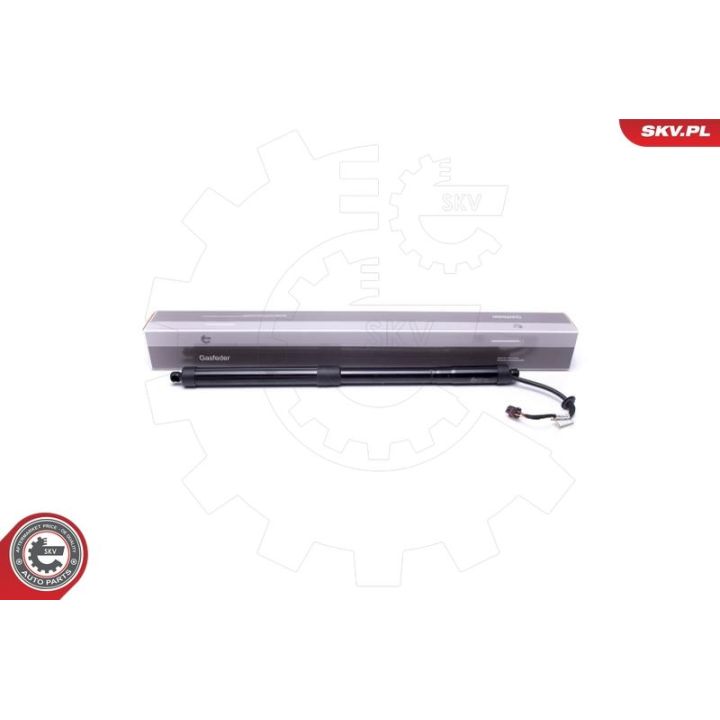 Galinių durų elektros variklis ESEN SKV 52SKV919