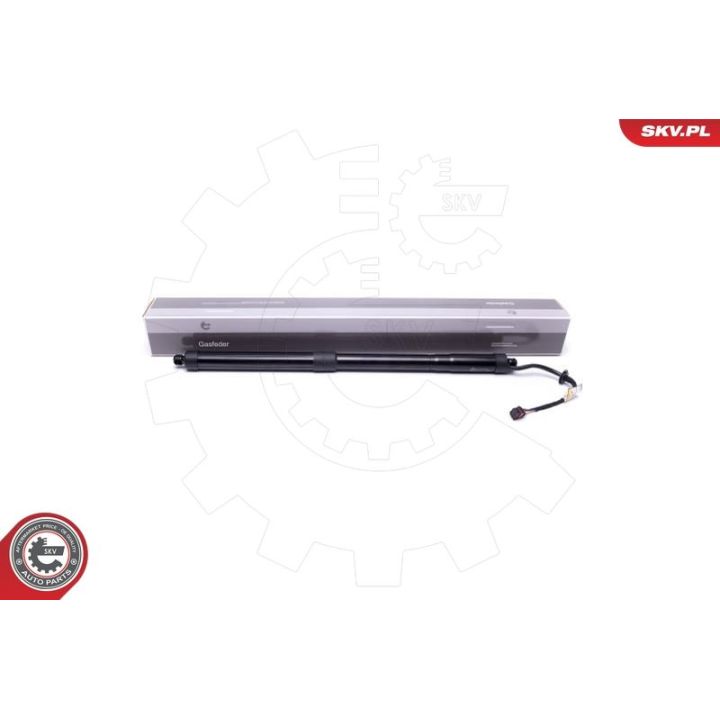 Galinių durų elektros variklis ESEN SKV 52SKV920