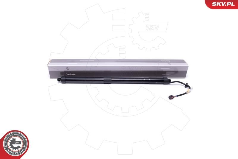 Galinių durų elektros variklis ESEN SKV 52SKV920