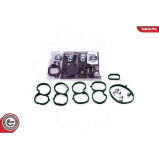 Remonto komplektas, įsiurbimo kolektoriaus modulis ESEN SKV 49SKV512