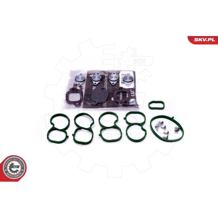 Remonto komplektas, įsiurbimo kolektoriaus modulis ESEN SKV 49SKV512