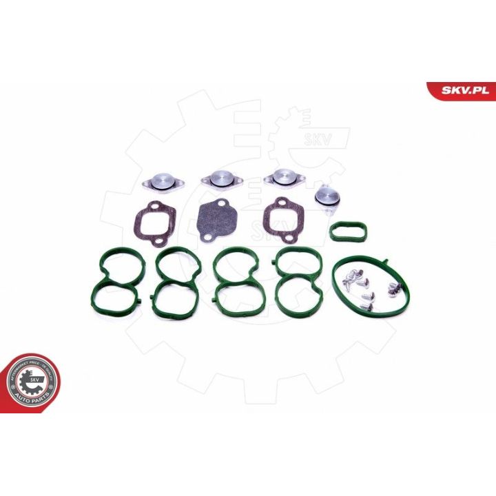 Remonto komplektas, įsiurbimo kolektoriaus modulis ESEN SKV 49SKV512