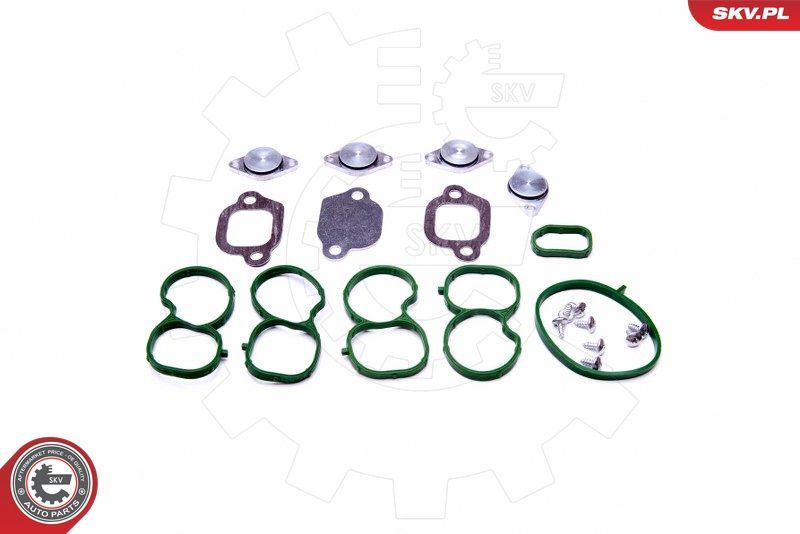 Remonto komplektas, įsiurbimo kolektoriaus modulis ESEN SKV 49SKV512