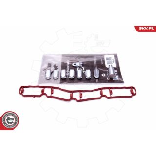 Remonto komplektas, įsiurbimo kolektoriaus modulis ESEN SKV 49SKV521