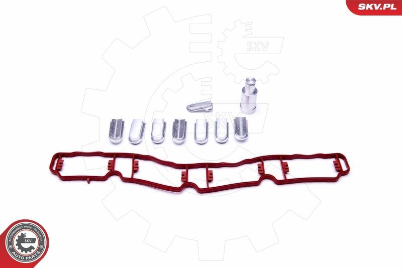 Remonto komplektas, įsiurbimo kolektoriaus modulis ESEN SKV 49SKV521