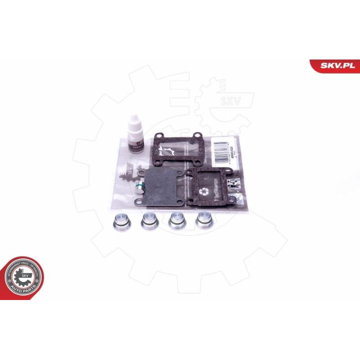 Remonto komplektas, įsiurbimo kolektoriaus modulis ESEN SKV 49SKV525