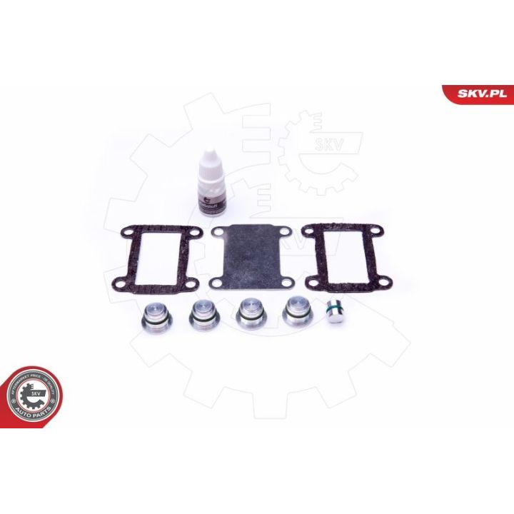 Remonto komplektas, įsiurbimo kolektoriaus modulis ESEN SKV 49SKV525
