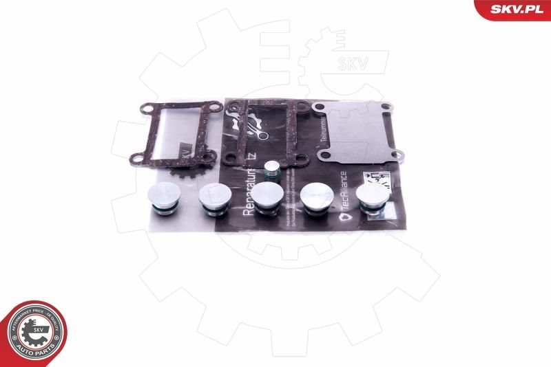 Remonto komplektas, įsiurbimo kolektoriaus modulis ESEN SKV 49SKV526