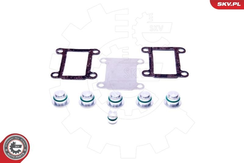 Remonto komplektas, įsiurbimo kolektoriaus modulis ESEN SKV 49SKV526