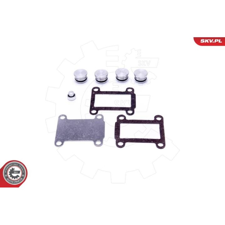 Remonto komplektas, įsiurbimo kolektoriaus modulis ESEN SKV 49SKV527