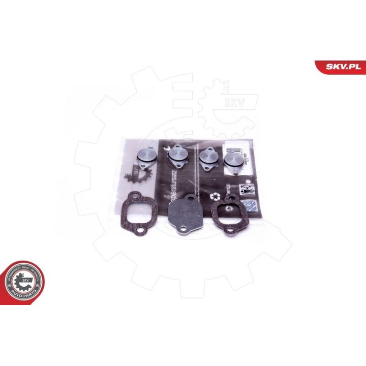Remonto komplektas, įsiurbimo kolektoriaus modulis ESEN SKV 49SKV529