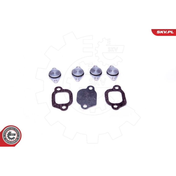 Remonto komplektas, įsiurbimo kolektoriaus modulis ESEN SKV 49SKV529