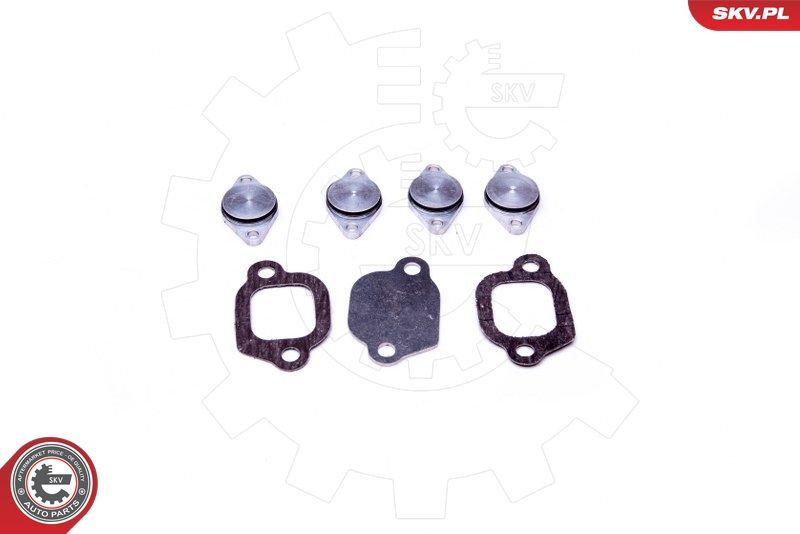 Remonto komplektas, įsiurbimo kolektoriaus modulis ESEN SKV 49SKV529