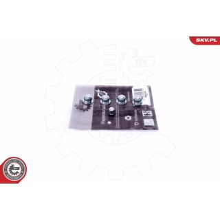 Remonto komplektas, įsiurbimo kolektoriaus modulis ESEN SKV 49SKV530