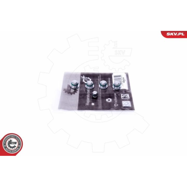 Remonto komplektas, įsiurbimo kolektoriaus modulis ESEN SKV 49SKV530