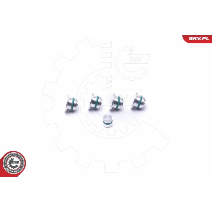Remonto komplektas, įsiurbimo kolektoriaus modulis ESEN SKV 49SKV530