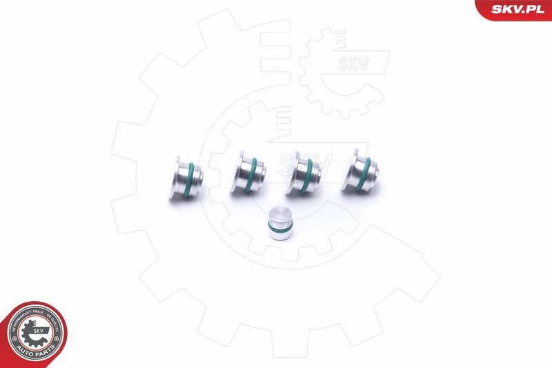 Remonto komplektas, įsiurbimo kolektoriaus modulis ESEN SKV 49SKV530