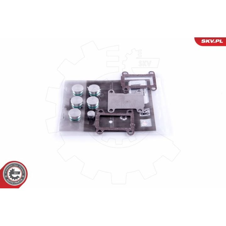 Remonto komplektas, įsiurbimo kolektoriaus modulis ESEN SKV 49SKV531