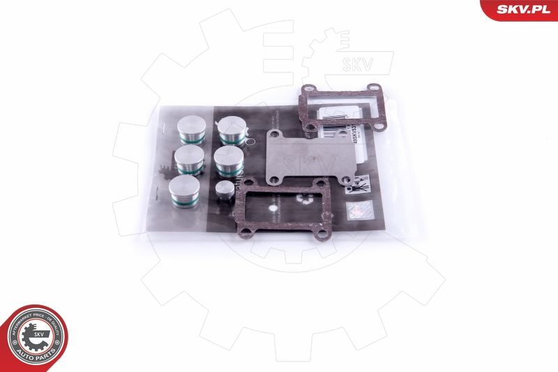 Remonto komplektas, įsiurbimo kolektoriaus modulis ESEN SKV 49SKV531