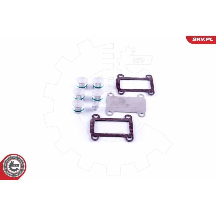 Remonto komplektas, įsiurbimo kolektoriaus modulis ESEN SKV 49SKV531