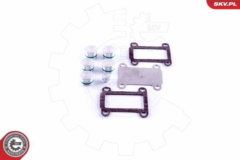 Remonto komplektas, įsiurbimo kolektoriaus modulis ESEN SKV 49SKV531