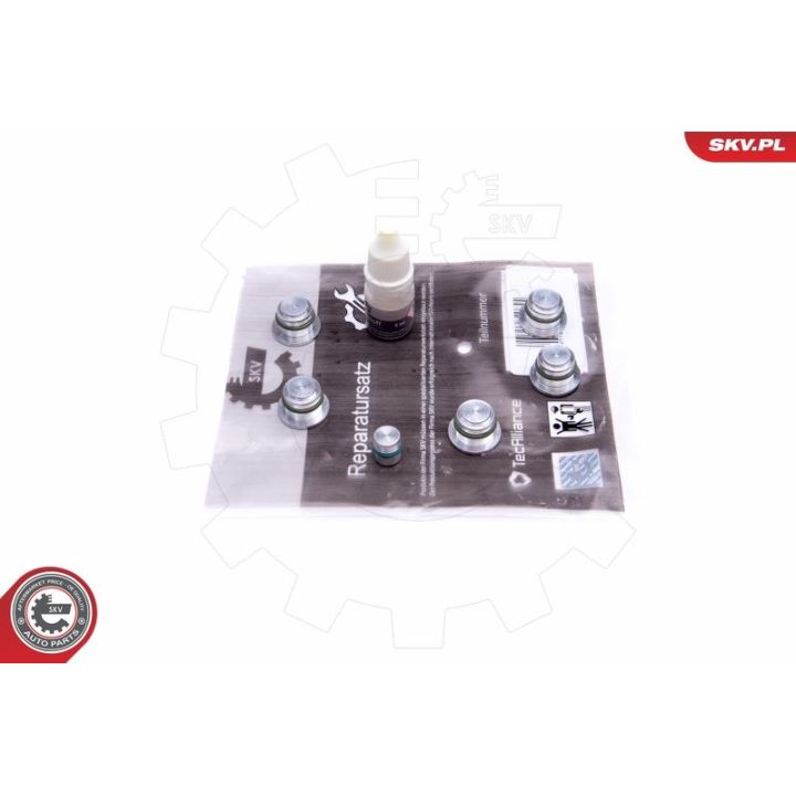 Remonto komplektas, įsiurbimo kolektoriaus modulis ESEN SKV 49SKV533