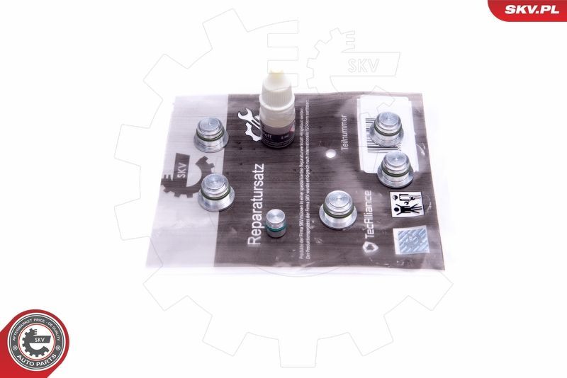 Remonto komplektas, įsiurbimo kolektoriaus modulis ESEN SKV 49SKV533