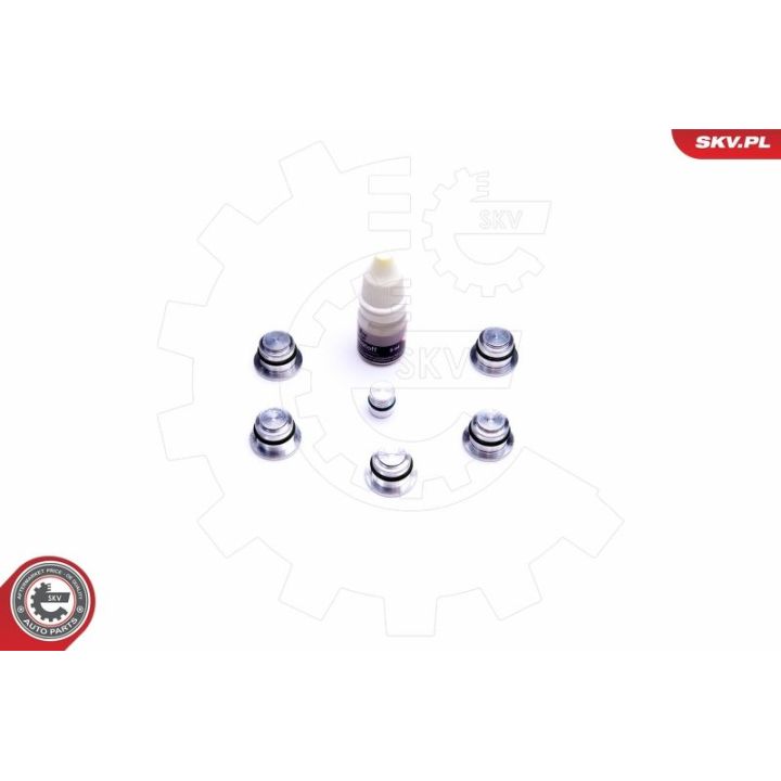Remonto komplektas, įsiurbimo kolektoriaus modulis ESEN SKV 49SKV533