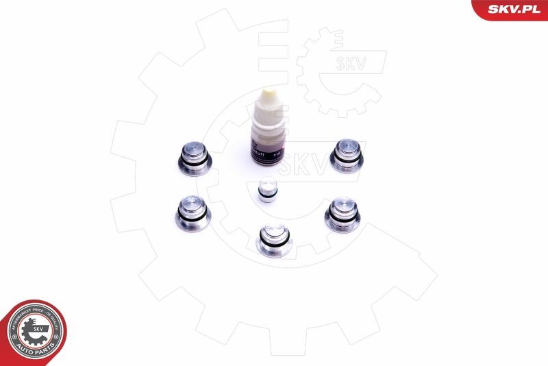 Remonto komplektas, įsiurbimo kolektoriaus modulis ESEN SKV 49SKV533