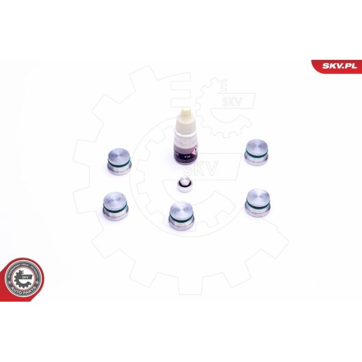 Remonto komplektas, įsiurbimo kolektoriaus modulis ESEN SKV 49SKV537