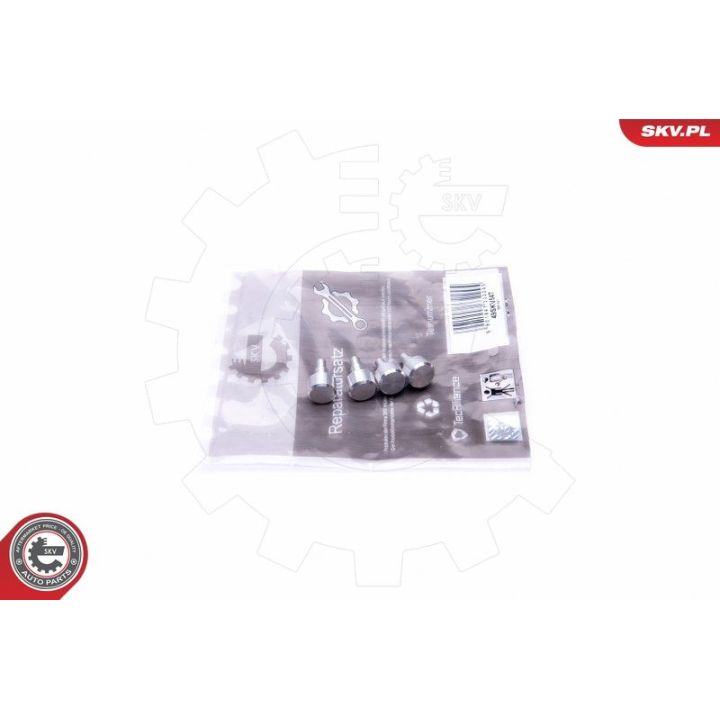 Remonto komplektas, įsiurbimo kolektoriaus modulis ESEN SKV 49SKV547