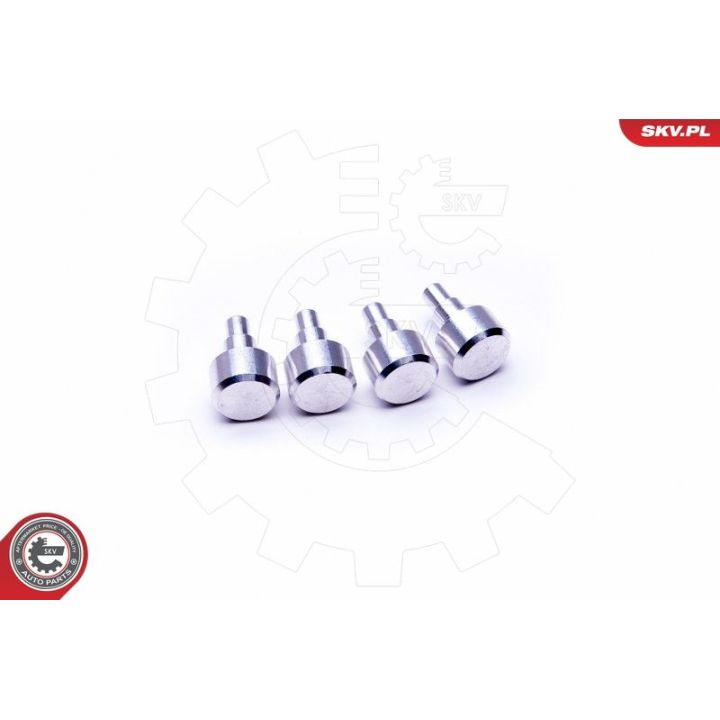 Remonto komplektas, įsiurbimo kolektoriaus modulis ESEN SKV 49SKV547