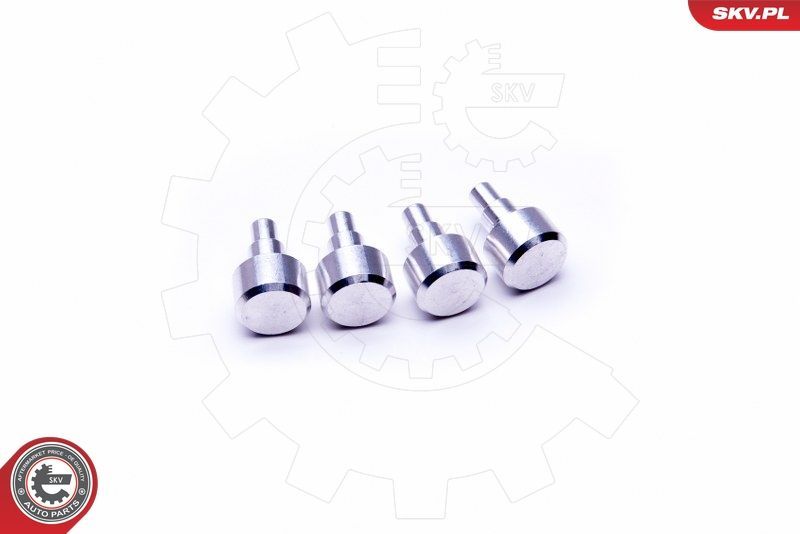 Remonto komplektas, įsiurbimo kolektoriaus modulis ESEN SKV 49SKV547