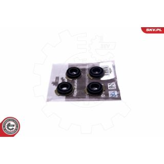 Remonto komplektas, įsiurbimo kolektoriaus modulis ESEN SKV 96SKV401