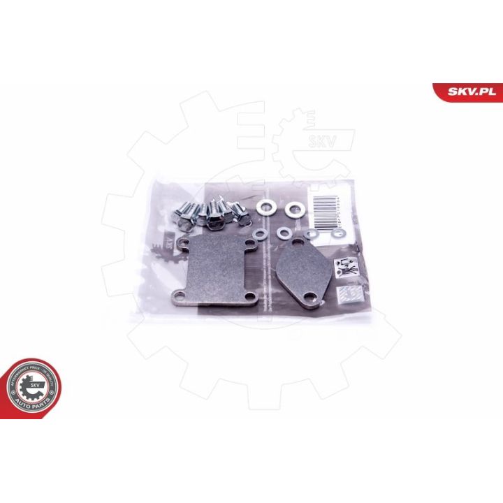 Remonto komplektas, AGR vožtuvas ESEN SKV 14SKV502