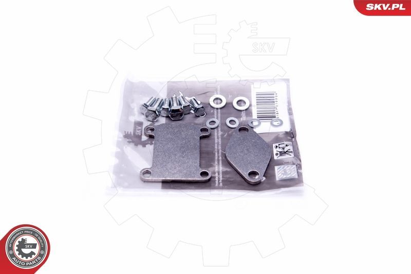 Remonto komplektas, AGR vožtuvas ESEN SKV 14SKV502