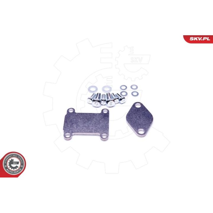 Remonto komplektas, AGR vožtuvas ESEN SKV 14SKV502