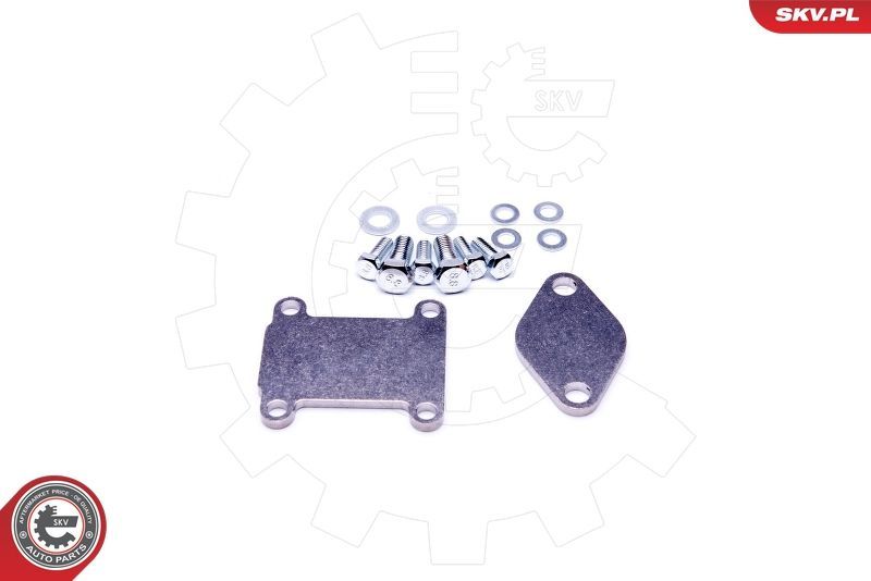 Remonto komplektas, AGR vožtuvas ESEN SKV 14SKV502