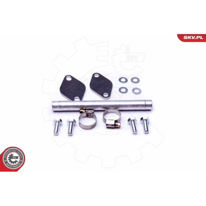 Remonto komplektas, AGR vožtuvas ESEN SKV 14SKV507