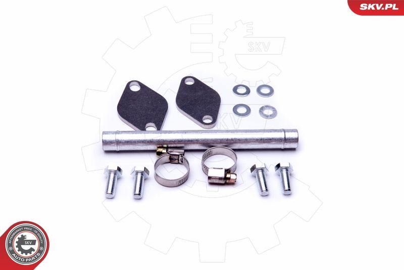 Remonto komplektas, AGR vožtuvas ESEN SKV 14SKV507