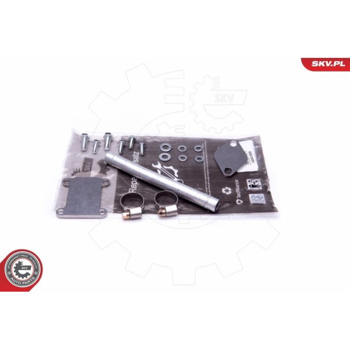 Remonto komplektas, AGR vožtuvas ESEN SKV 14SKV508