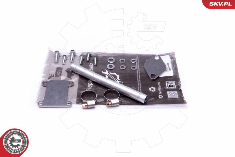 Remonto komplektas, AGR vožtuvas ESEN SKV 14SKV508