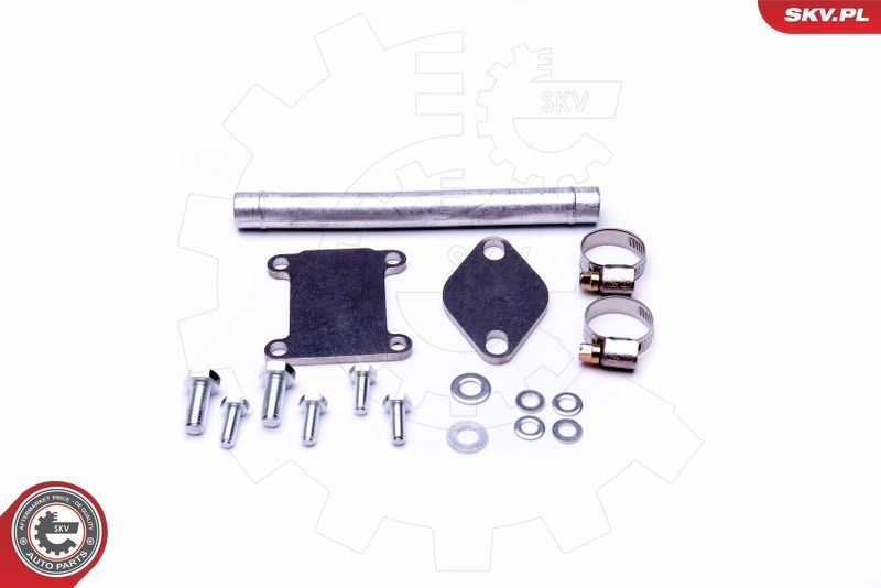 Remonto komplektas, AGR vožtuvas ESEN SKV 14SKV508