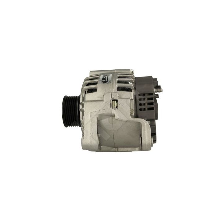 Kintamosios srovės generatorius HART 546 420