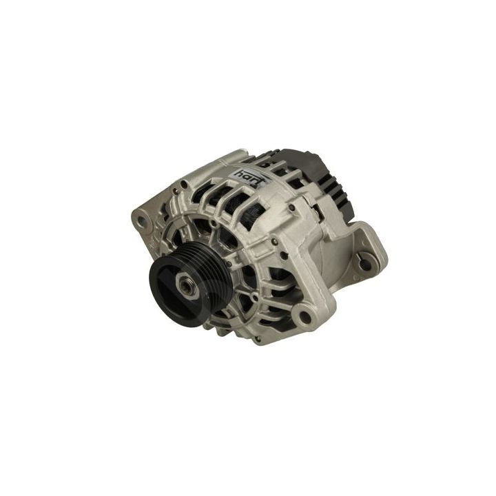 Kintamosios srovės generatorius HART 546 420