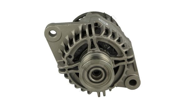 Kintamosios srovės generatorius HART 546 493