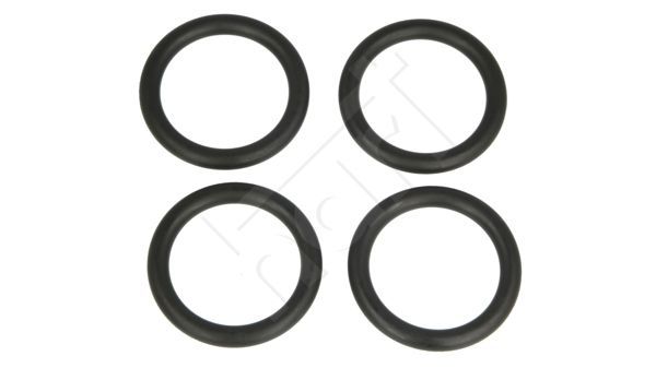 Tarpiklis, įsiurbimo kolektorius HART 717 702