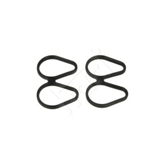 Tarpiklių rinkinys, įsiurbimo kolektorius HART 717 049