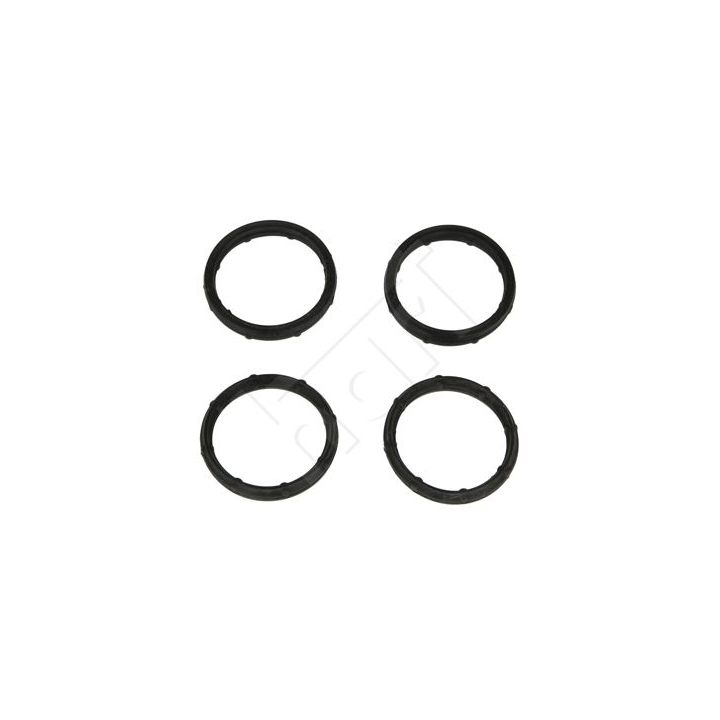 Tarpiklių rinkinys, įsiurbimo kolektorius HART 717 083