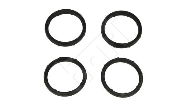 Tarpiklių rinkinys, įsiurbimo kolektorius HART 717 083